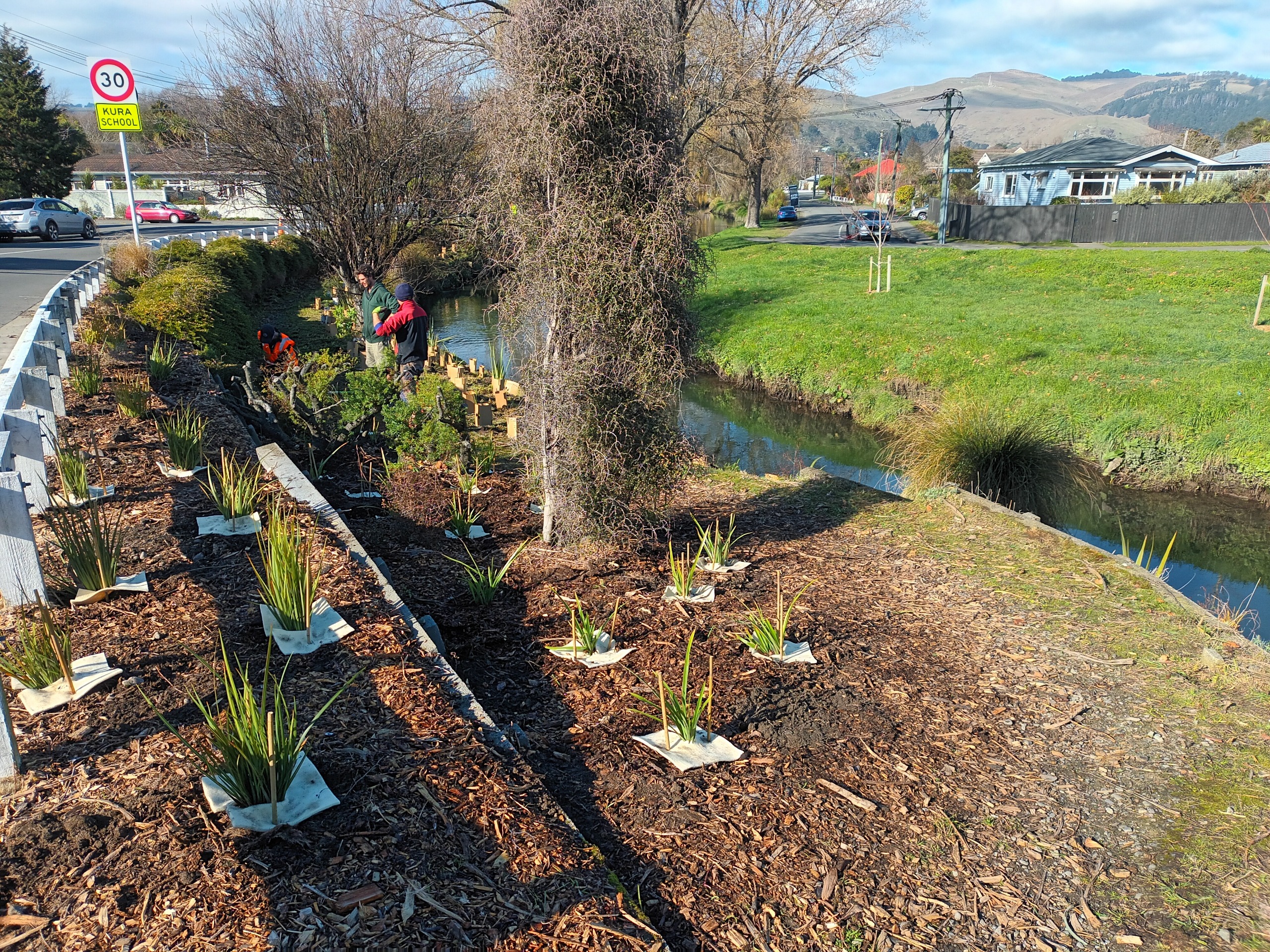Call for Volunteers - Group Planting Days, August 2024 | Waihoro ...