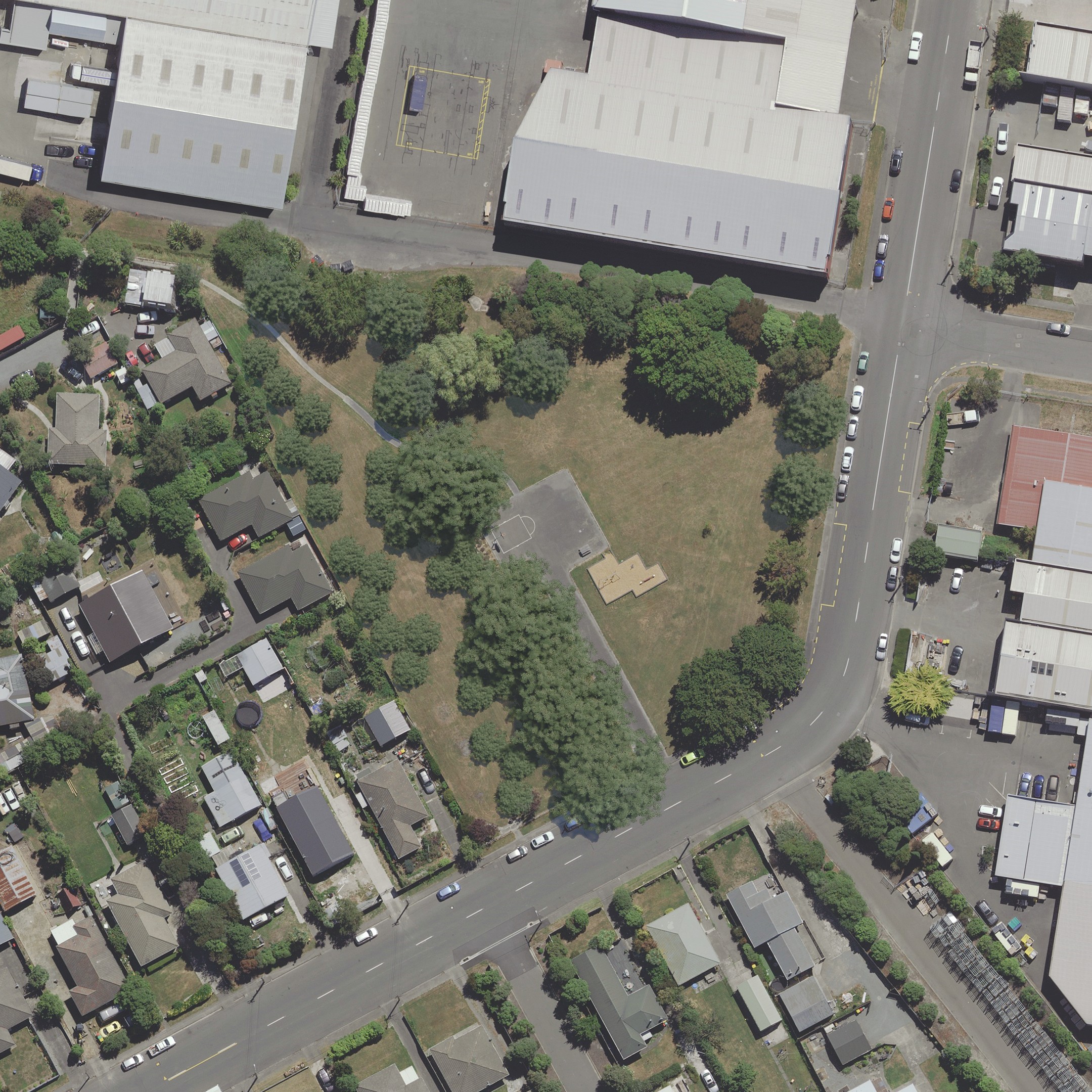 Proposed planting areas: Proposed planting areas