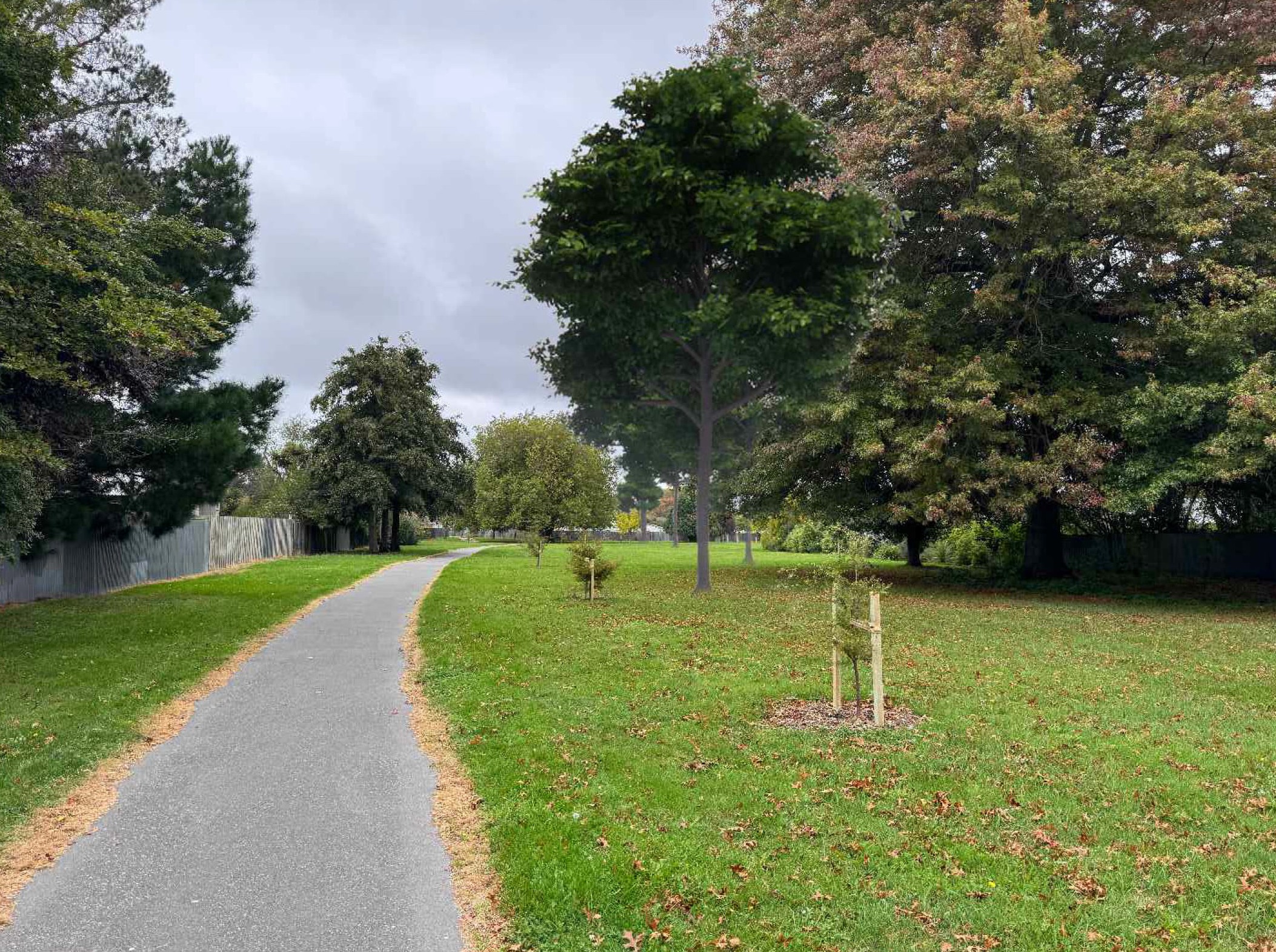 Proposed tree coverage