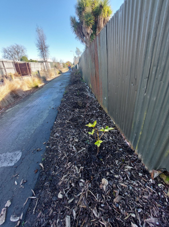 Drain fence