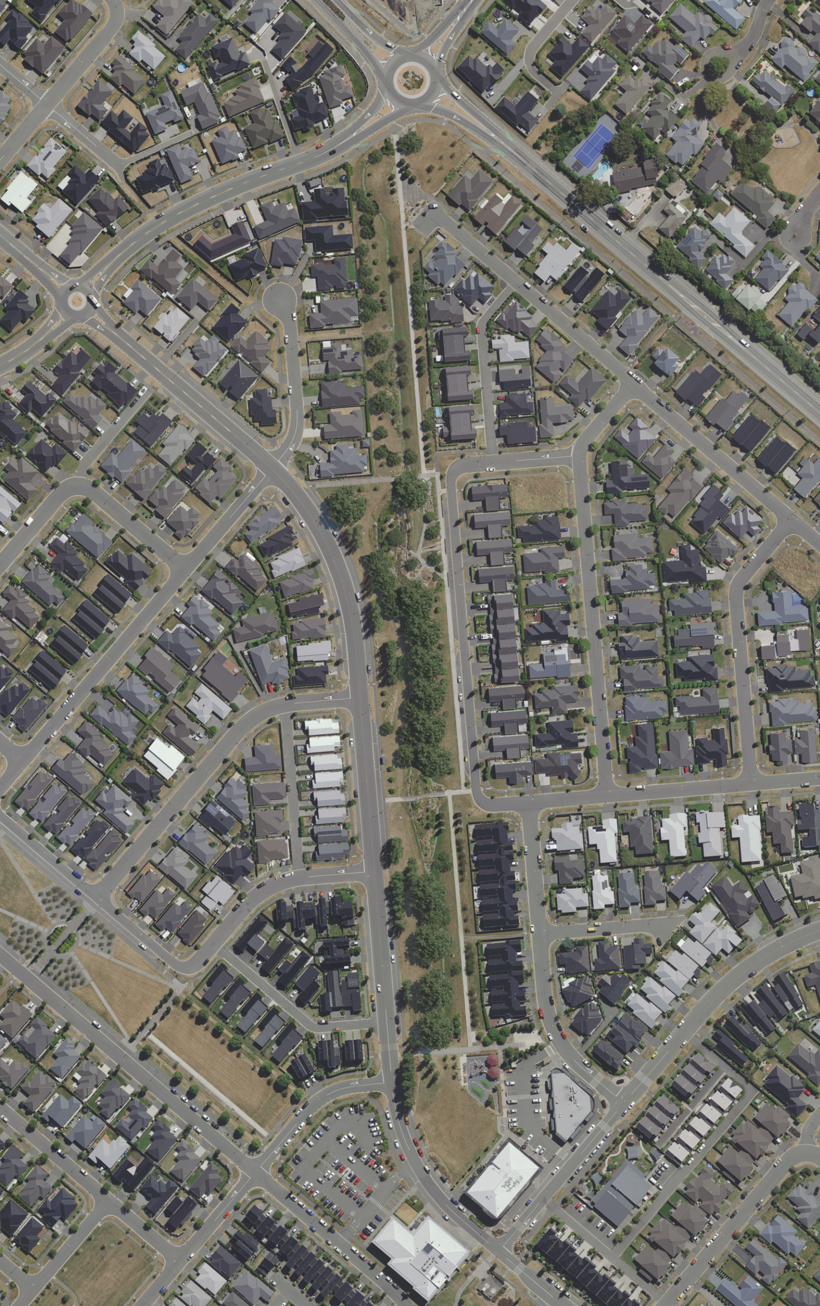 Proposed tree coverage