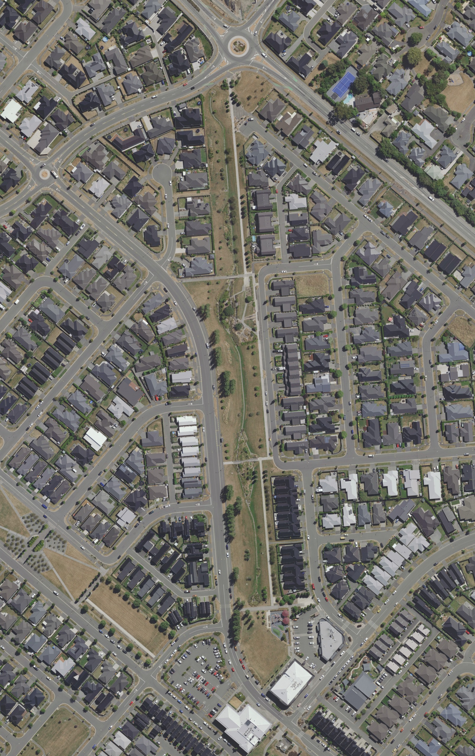 Current tree coverage