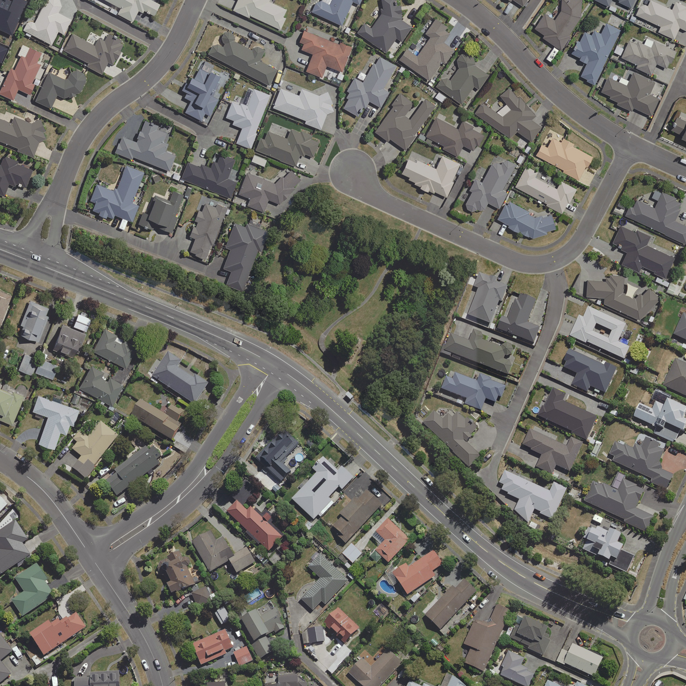 Proposed tree coverage