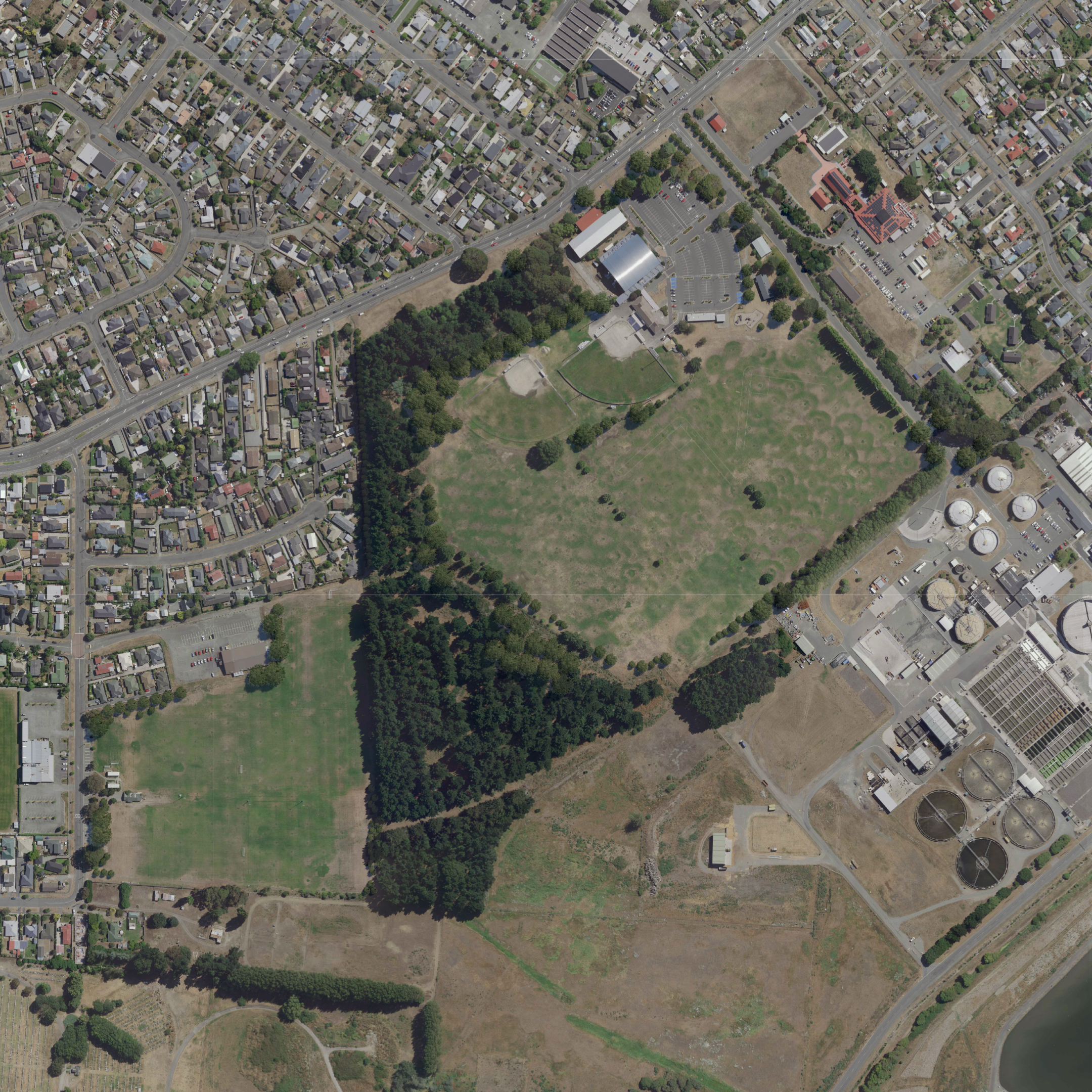 Proposed planting areas: Proposed planting areas