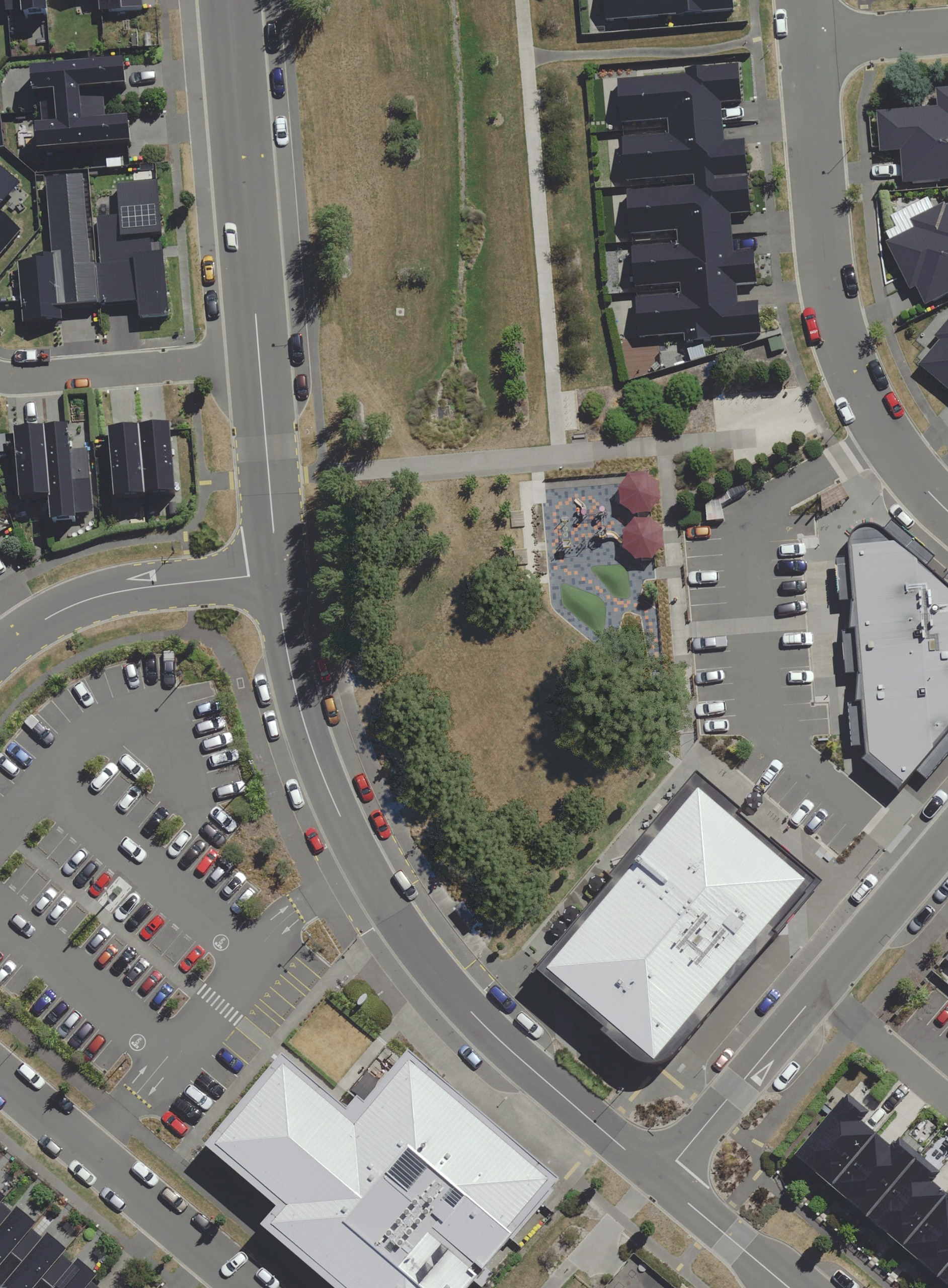 Proposed tree coverage