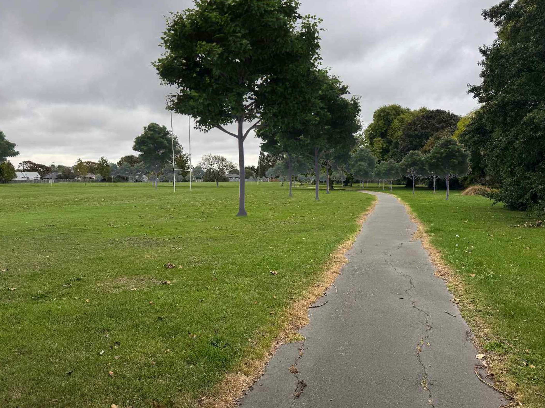 Proposed tree coverage