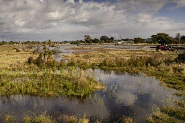 Wetlands