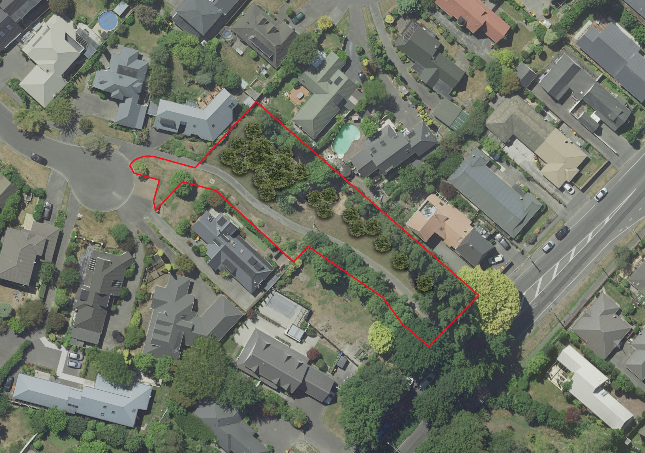 Proposed planting areas: Proposed planting areas