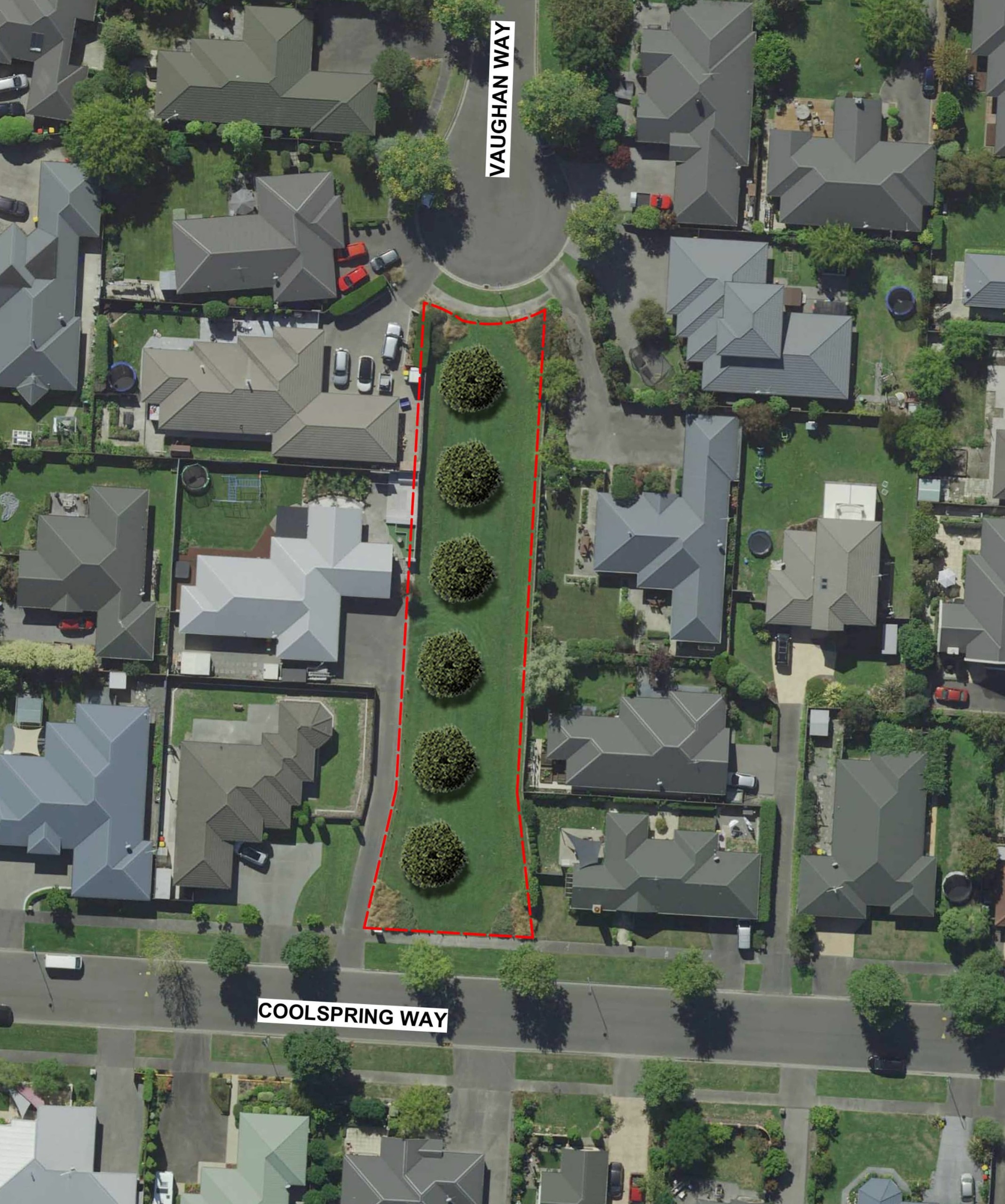 Proposed tree coverage