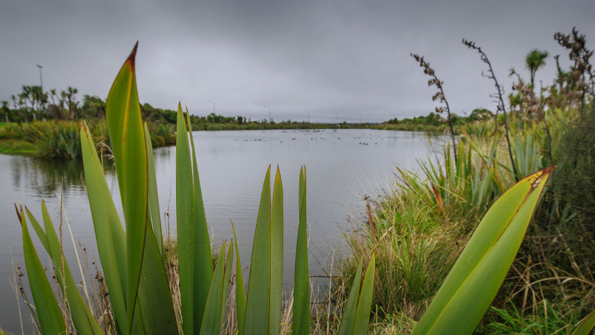 Lake Kate Sheppard
