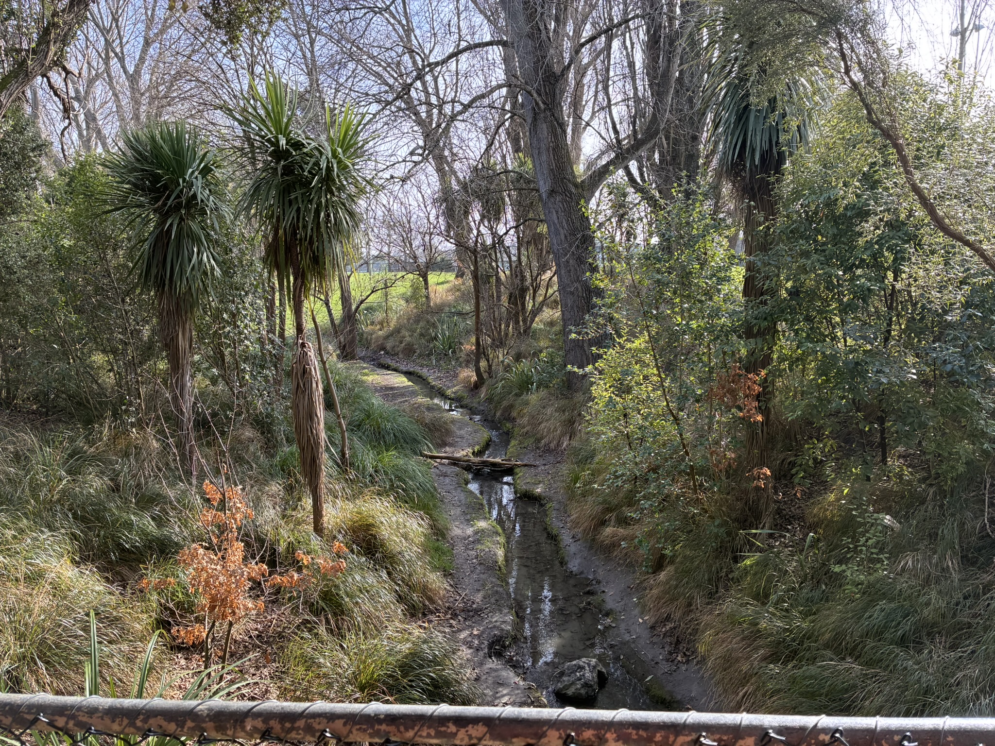 Ilam Stream