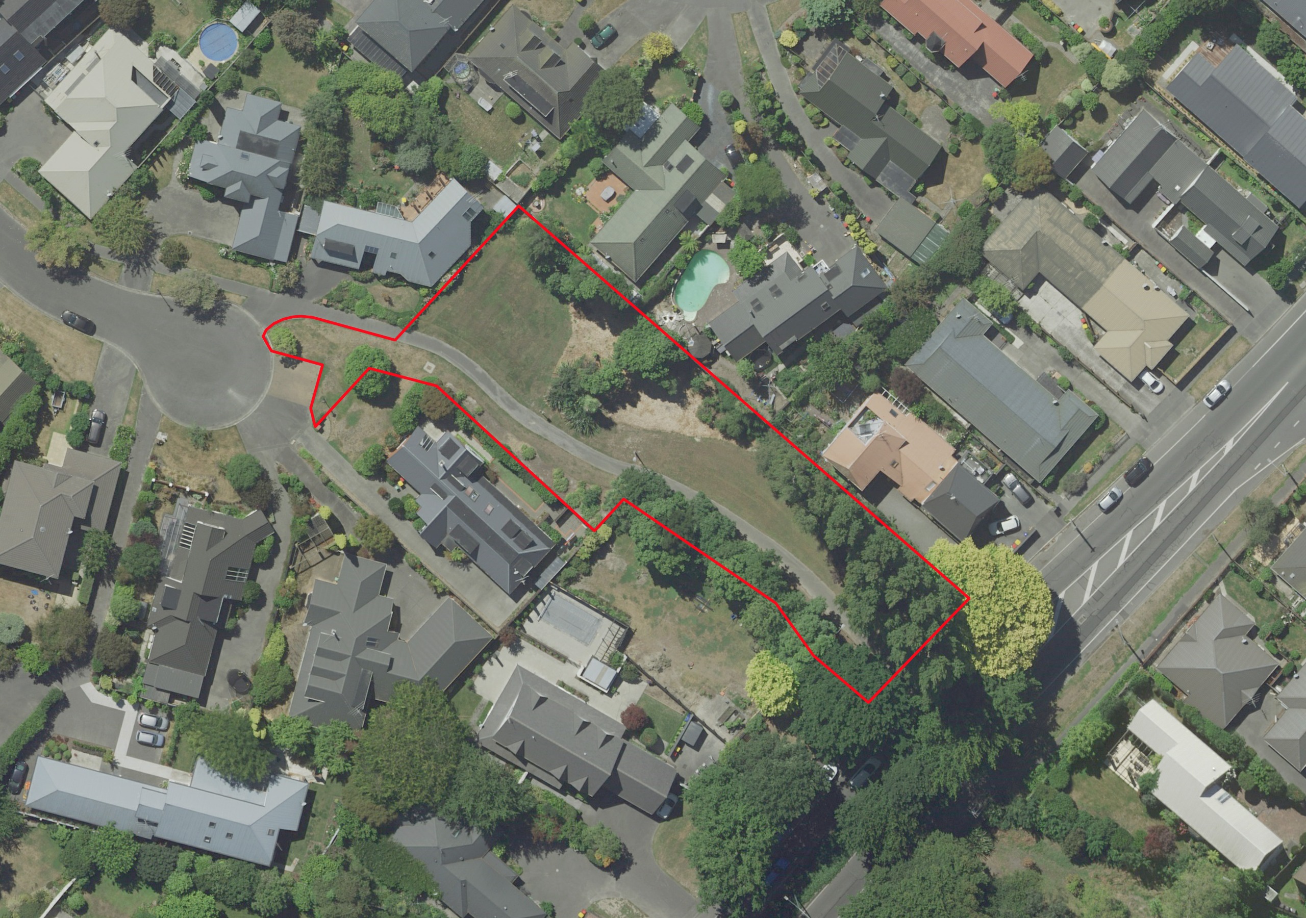 Current: Current layout of the trees