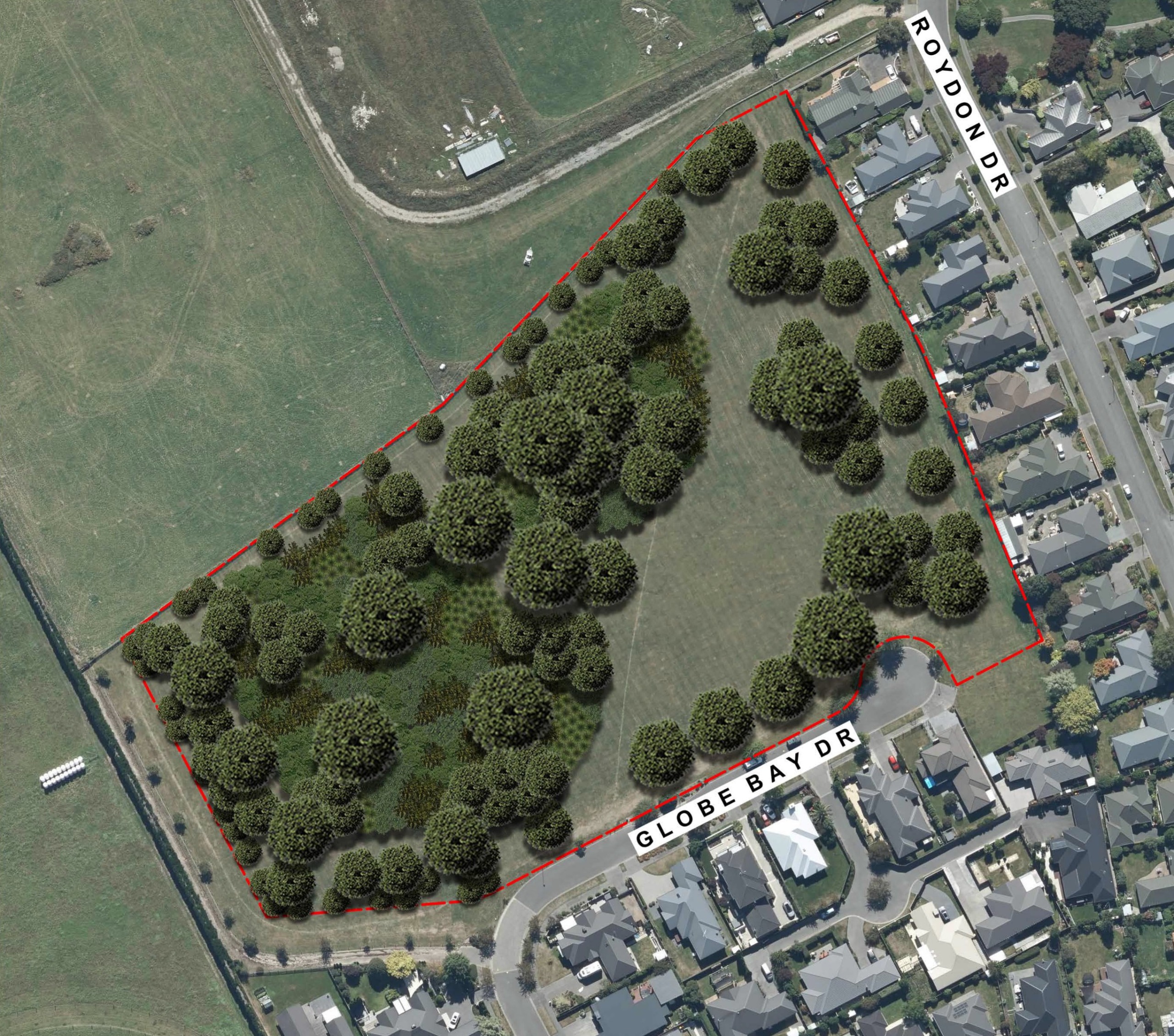 Proposed tree coverage