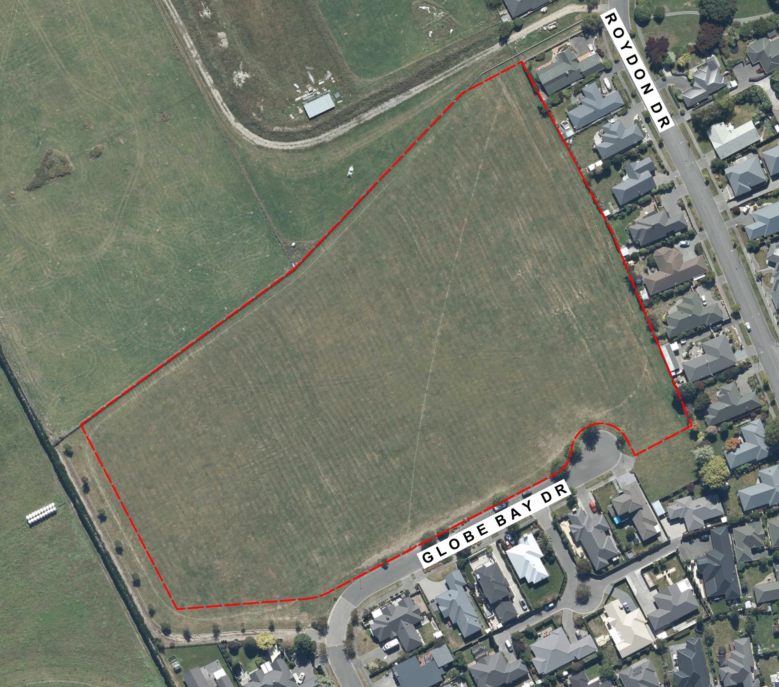 Current tree coverage