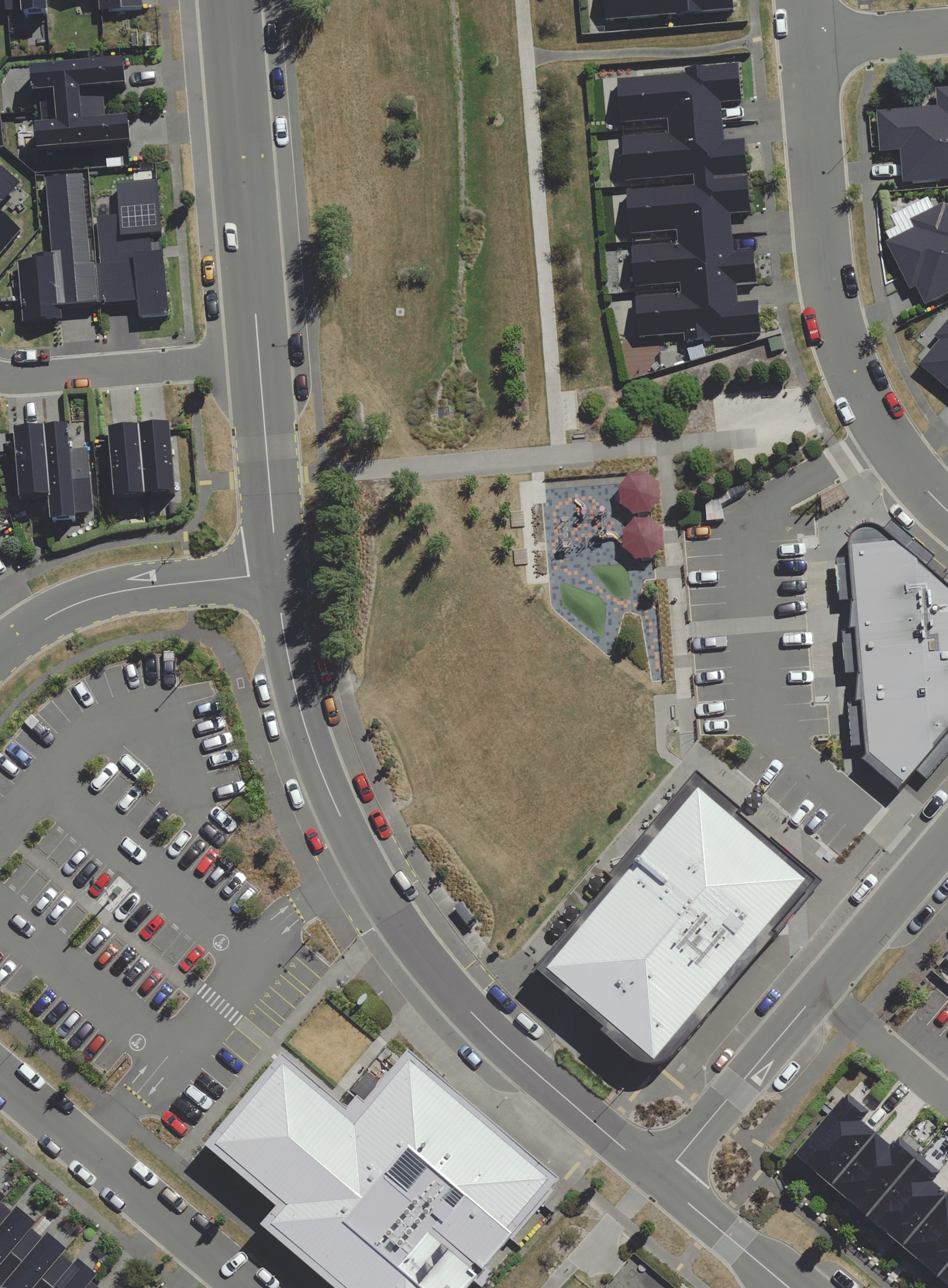 Current tree coverage