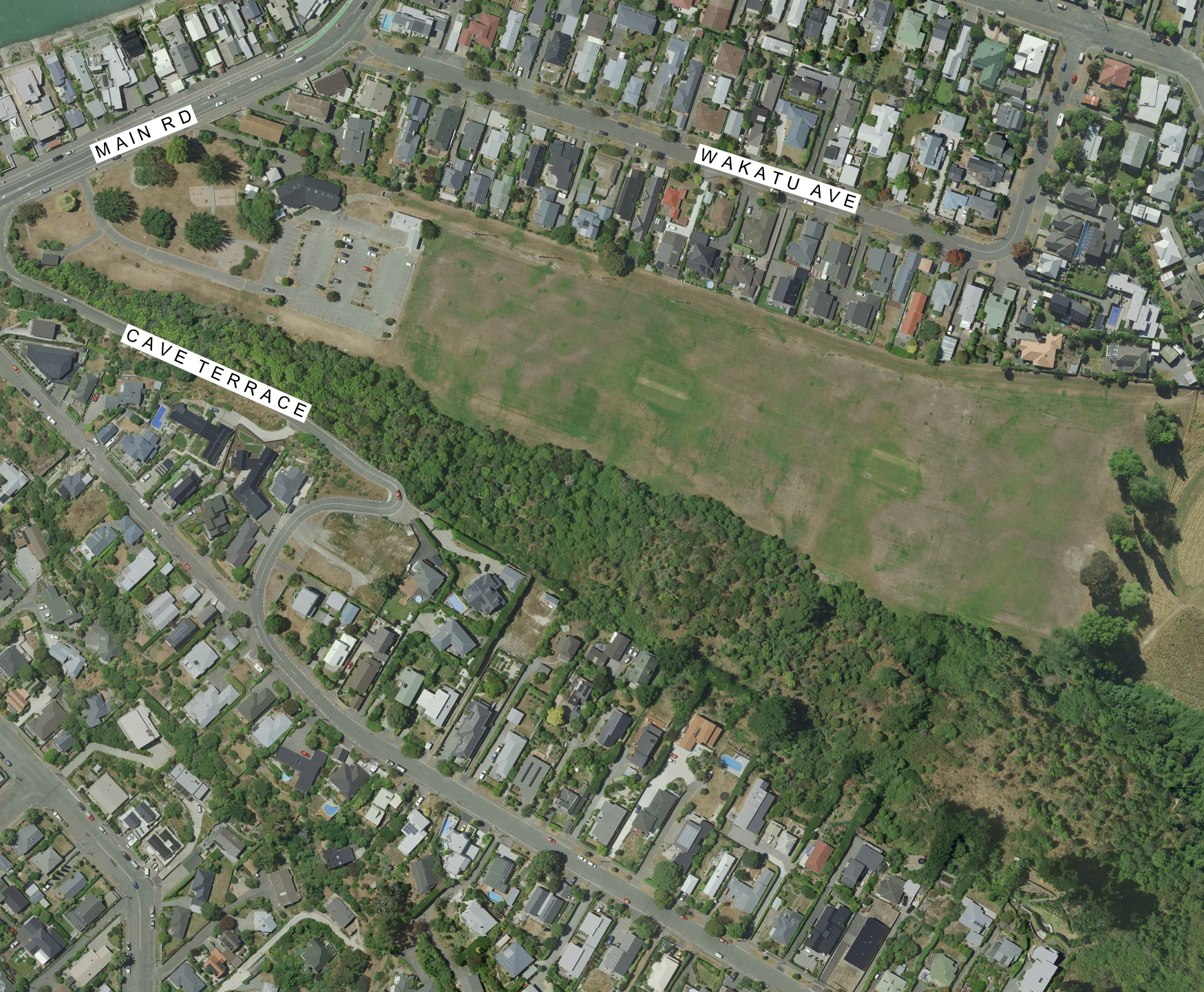 Current: Current layout of the trees