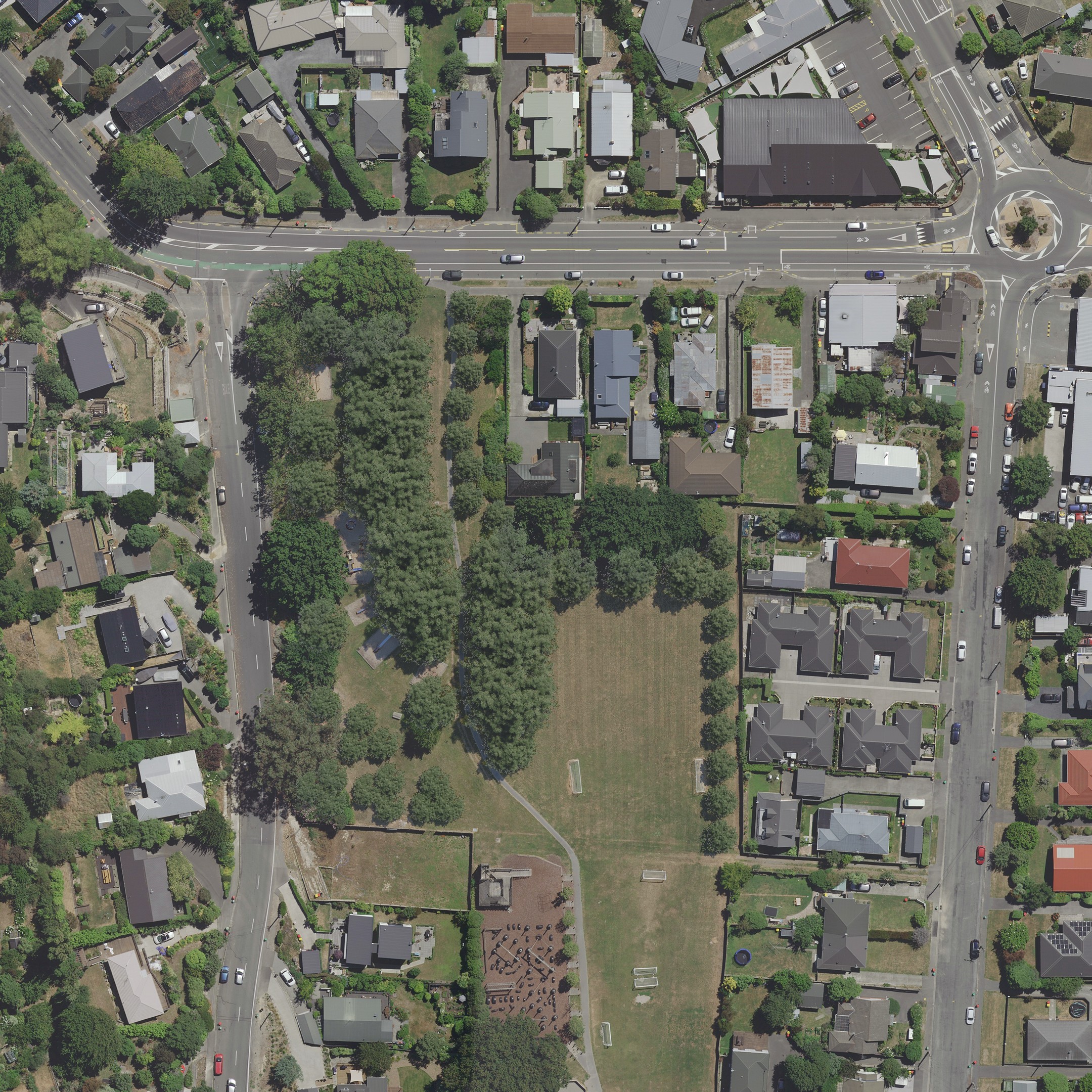 Proposed planting areas: Proposed planting areas