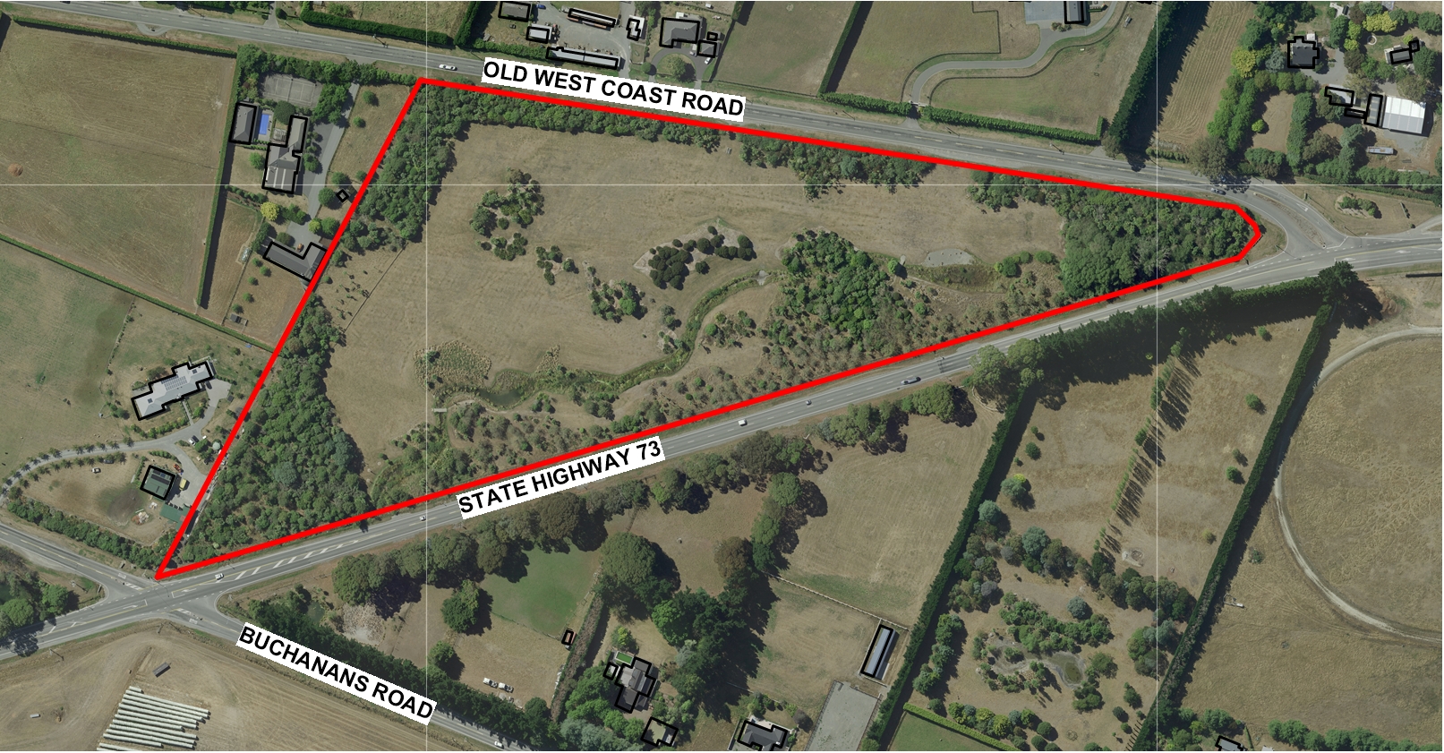 Current: Current layout of the trees