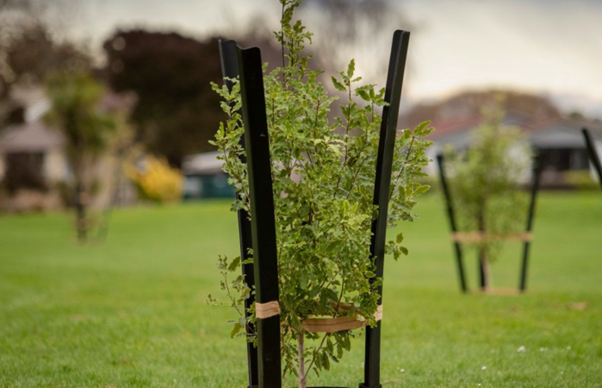 Tuesday 20 January 2026