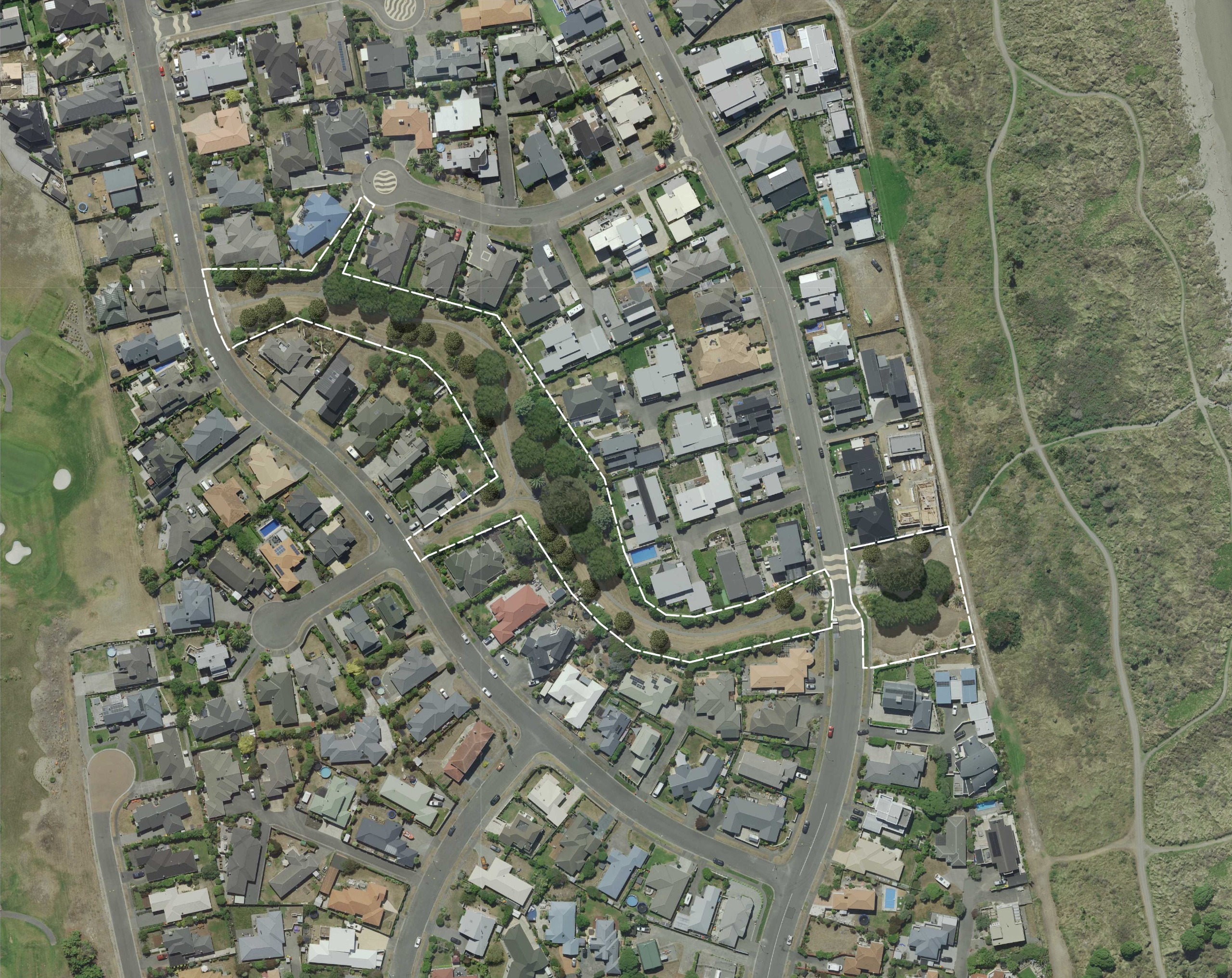 Proposed planting areas: Proposed planting areas