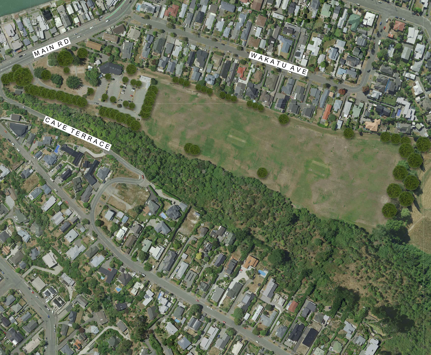 Proposed planting areas: Proposed planting areas