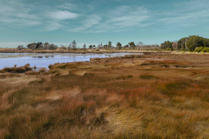Brooklands Lagoon