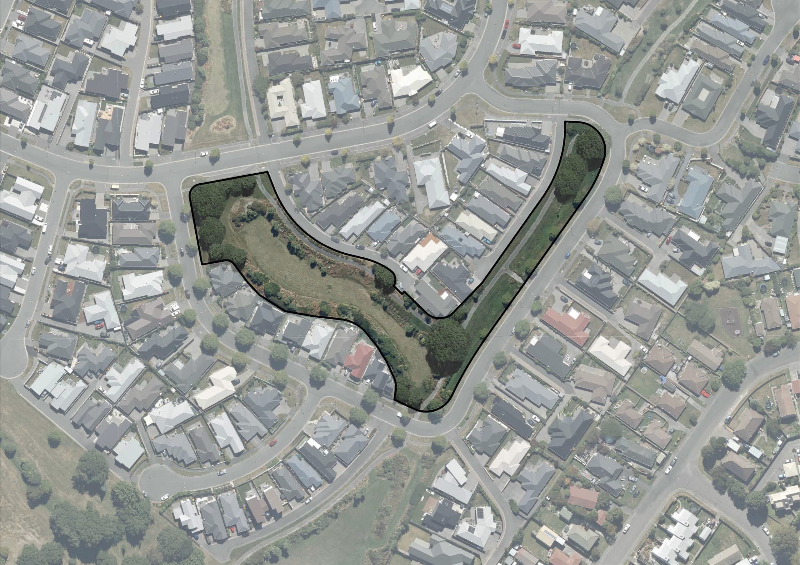 Proposed tree coverage