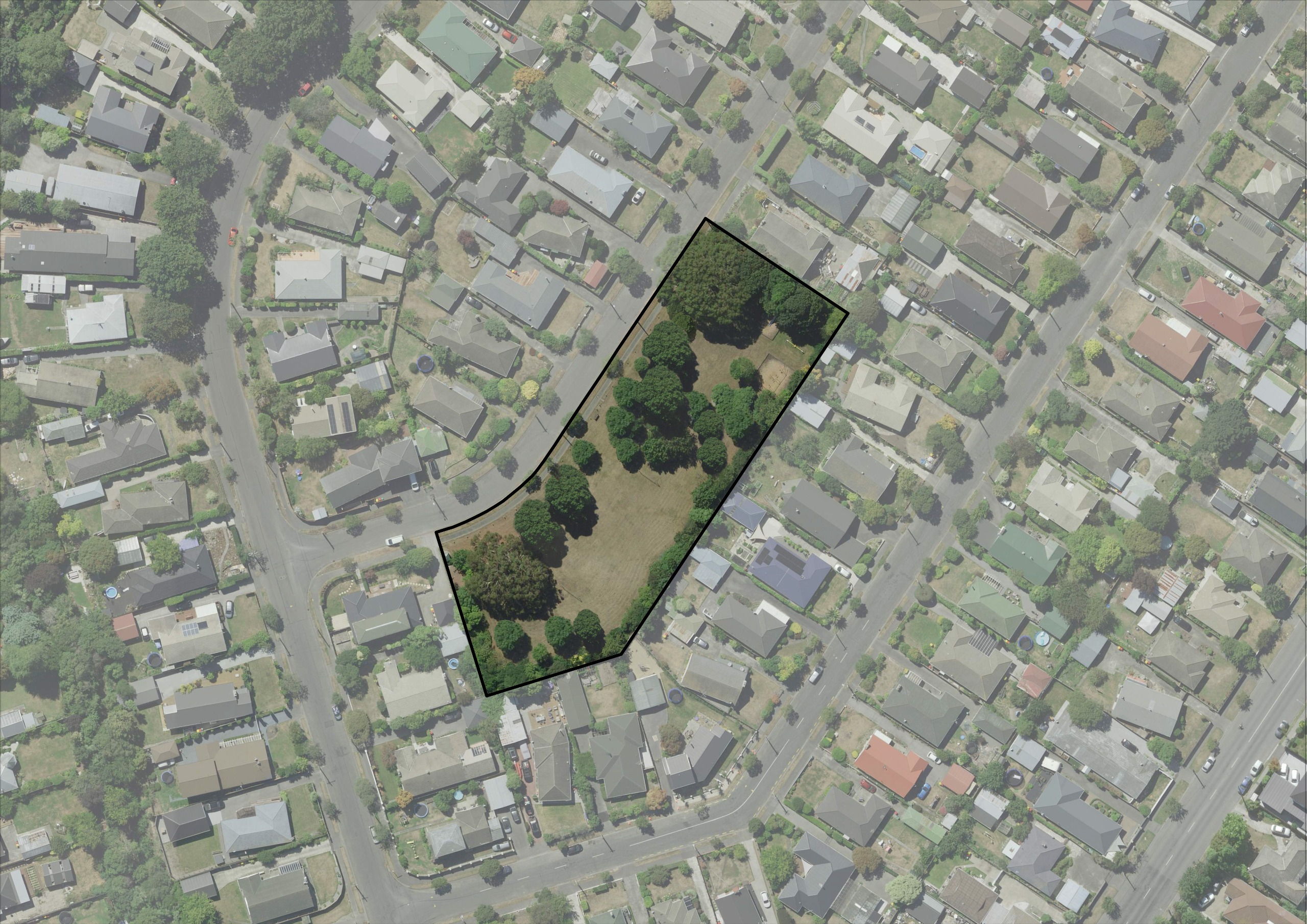 Proposed planting areas: Proposed planting areas