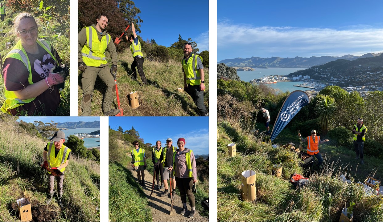 Photos of volunteers at the Urumau Reserve Planting Day
