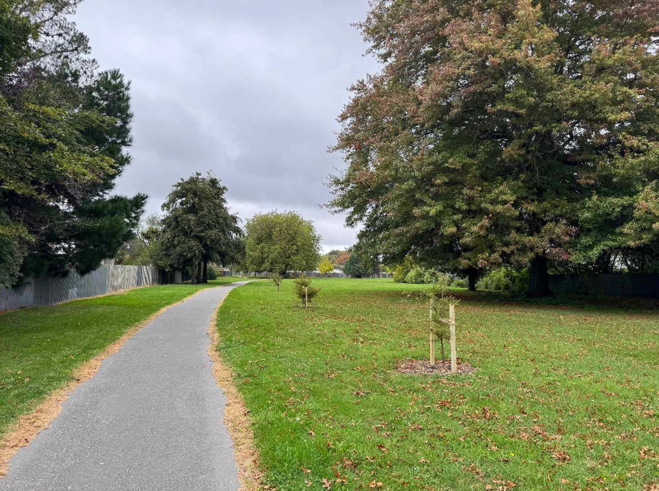 Current tree coverage