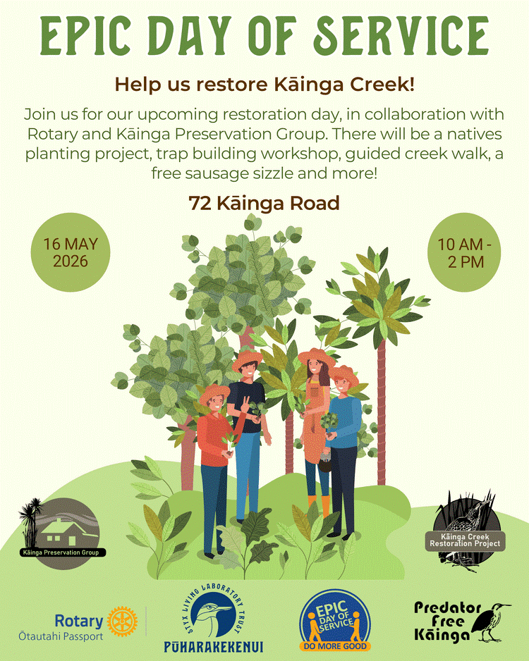 Kainga Creek Restoration 