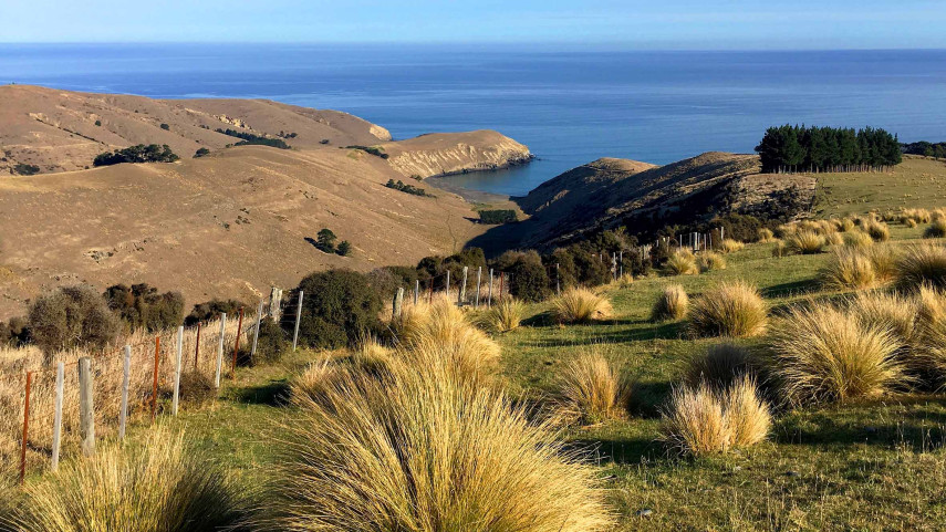 View into Hikuraki Bay on Banks Peninsula