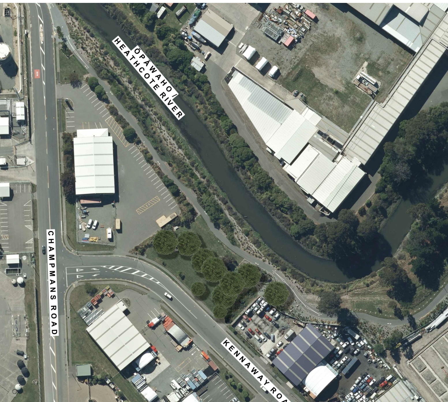 Proposed planting areas: Proposed planting areas