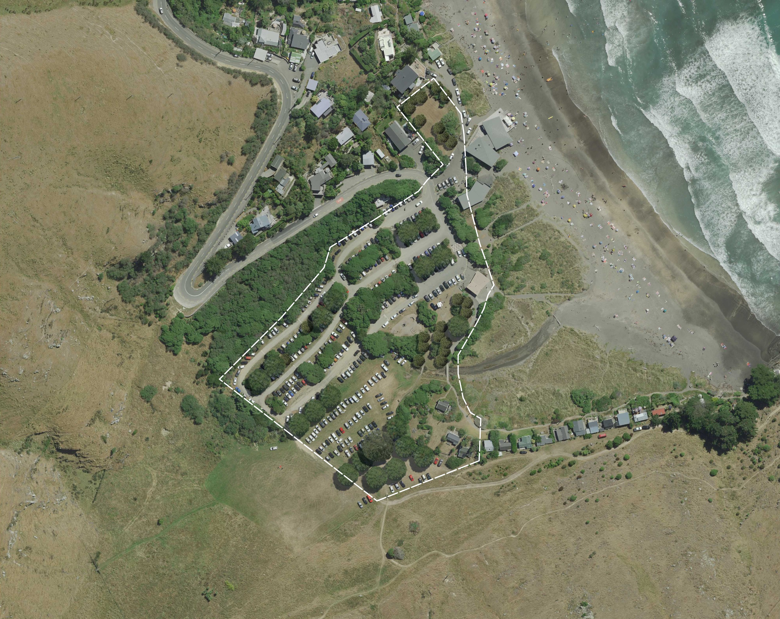 Proposed planting areas: Proposed planting areas