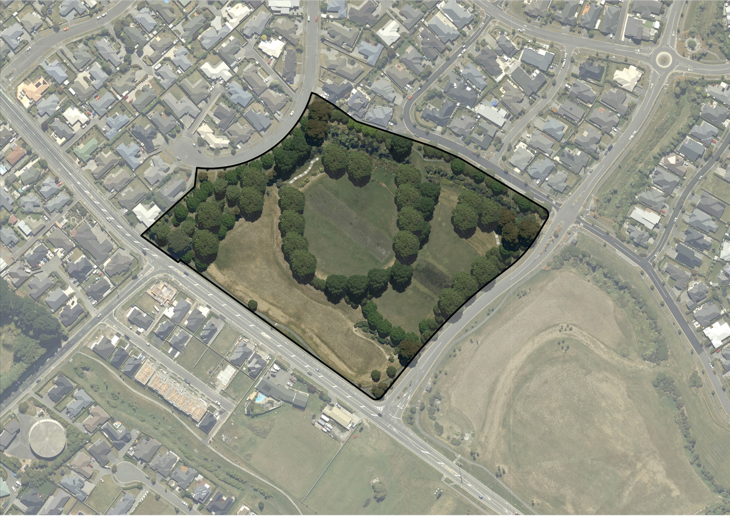 Proposed tree coverage