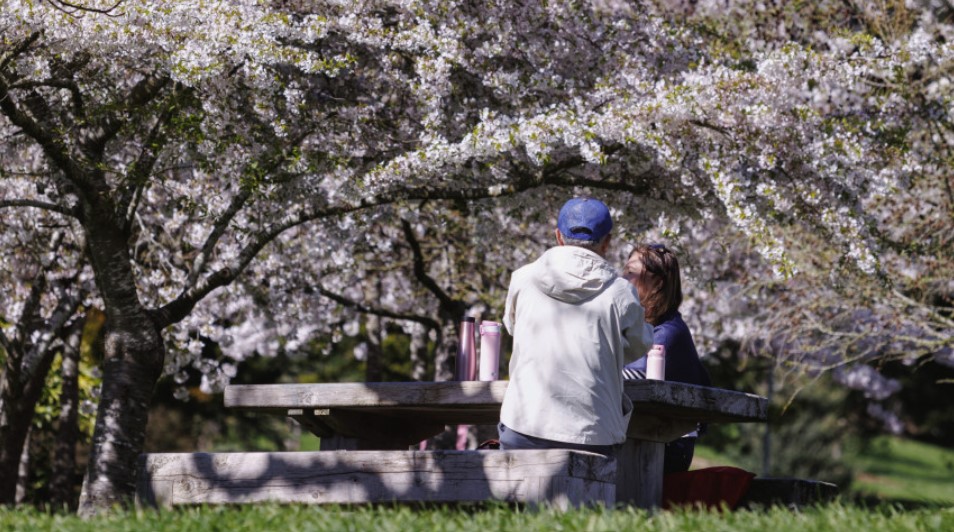 Spring