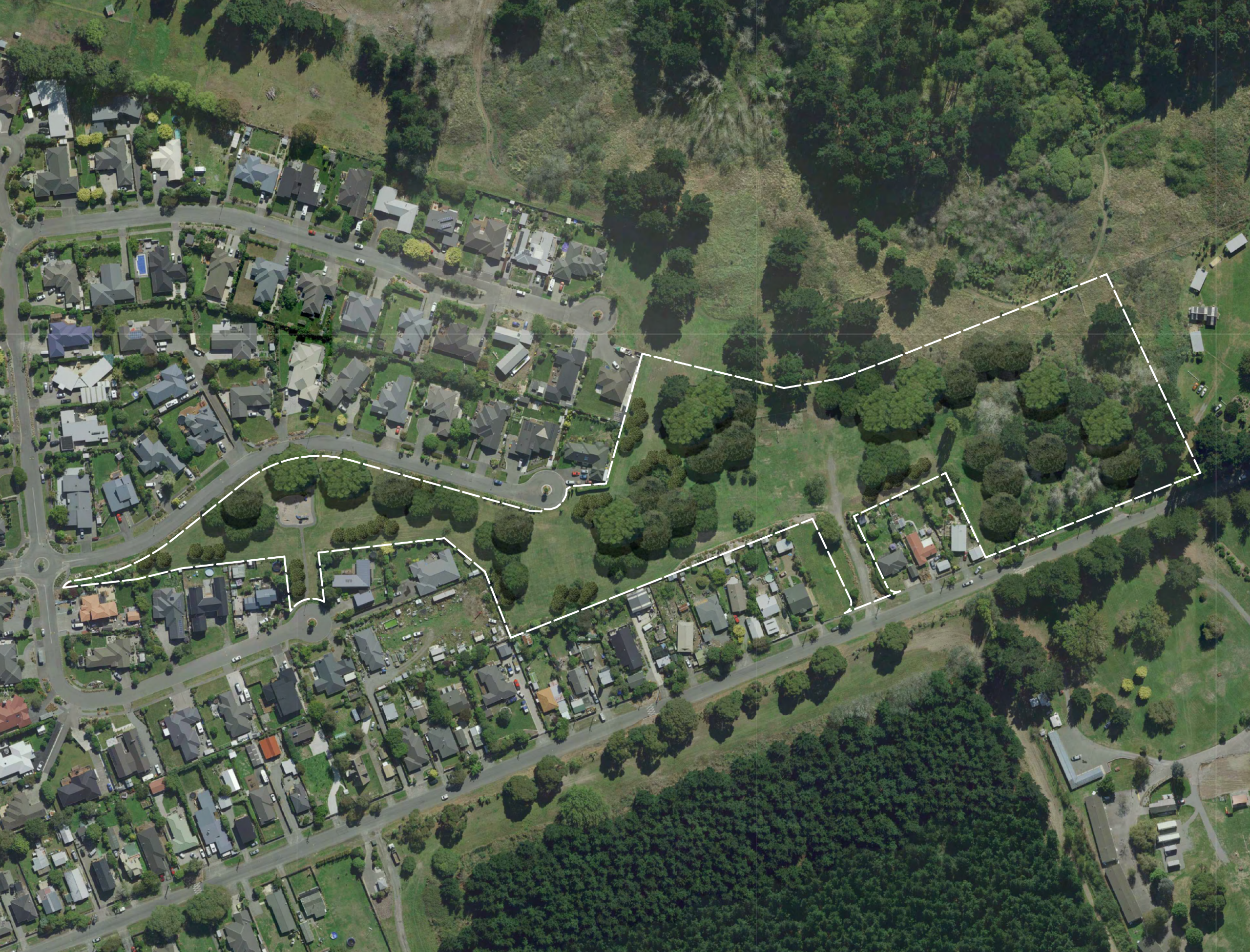 Proposed planting areas: Proposed planting areas